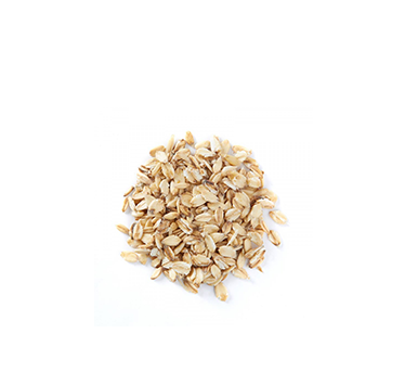 Oat Protein